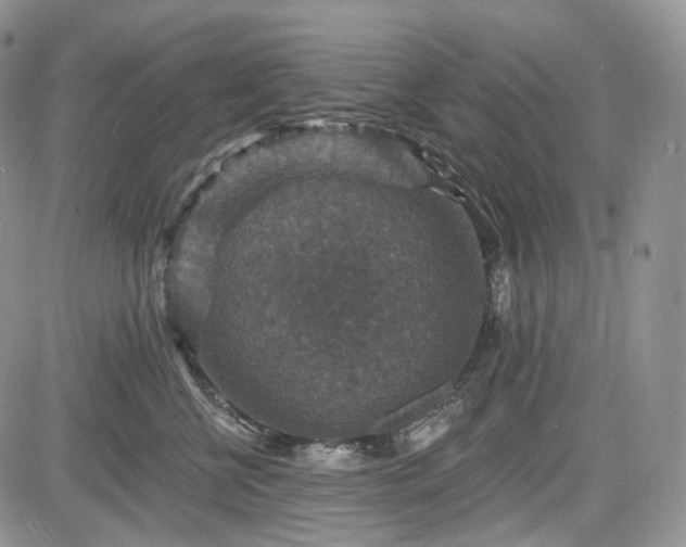 X0000085260570200703161407