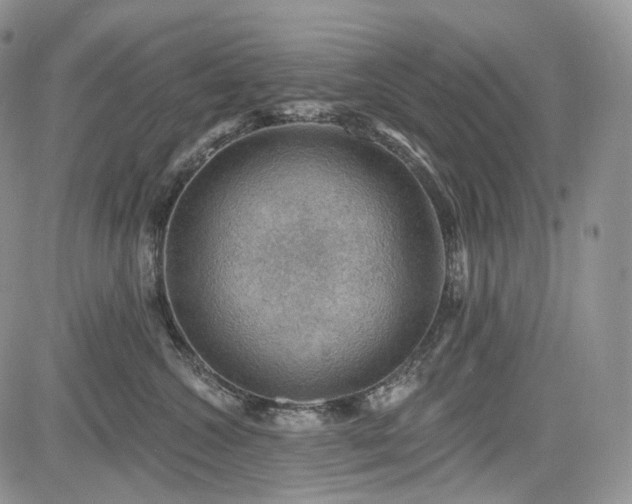 X0000085260572200703161407