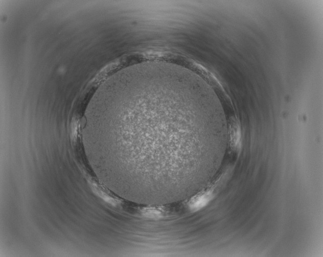 X0000085260574200703161407