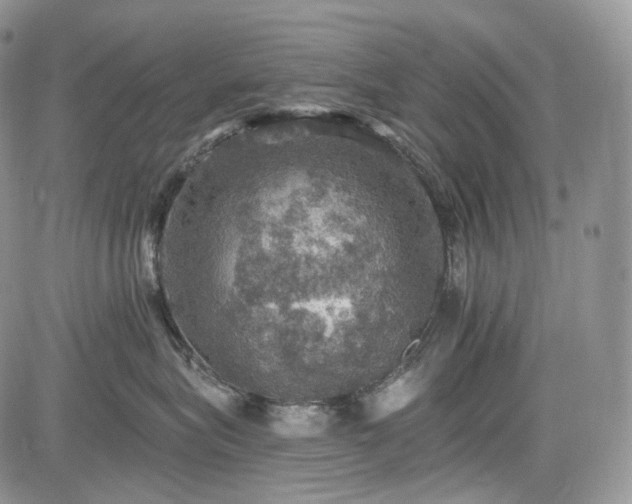 X0000085260575200703161407