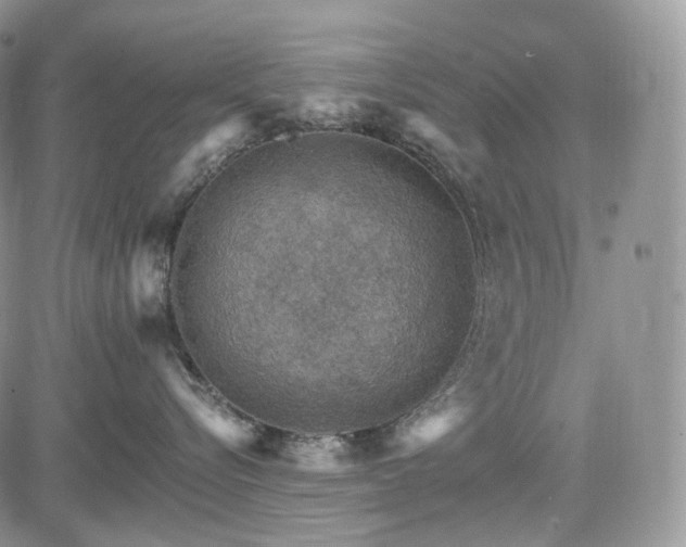 X0000085260576200703161407