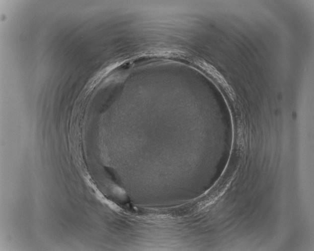 X0000085260577200703161406