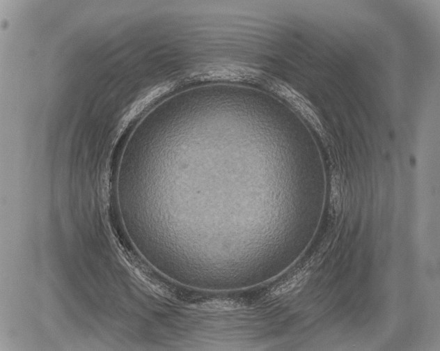 X0000085260578200703161406