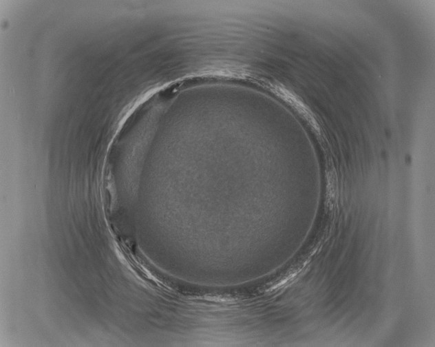 X0000085260580200703161406