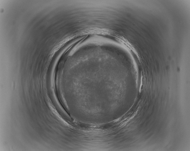 X0000085260581200703161406