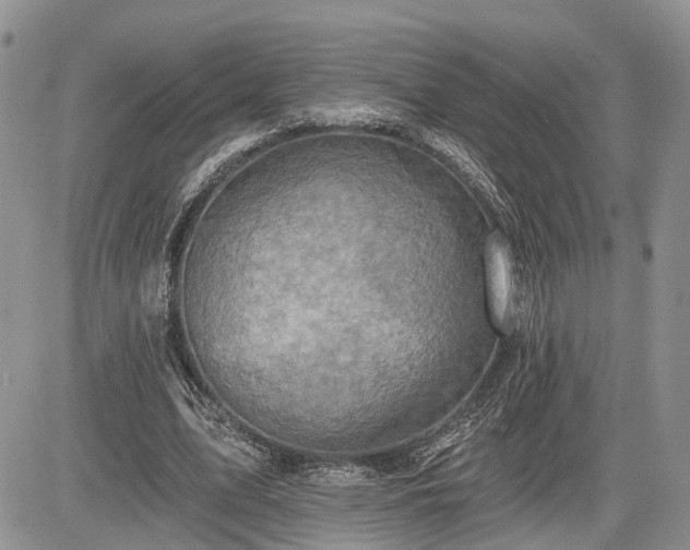 X0000085260583200703161406