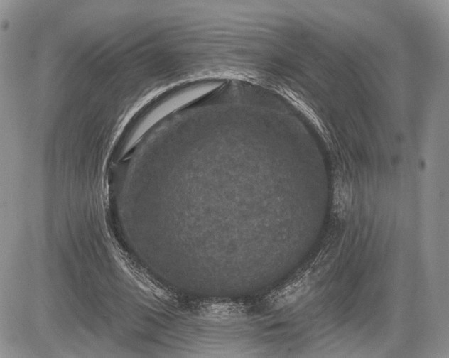 X0000085260584200703161406