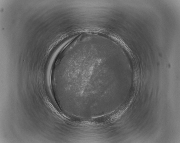 X0000085260585200703161406