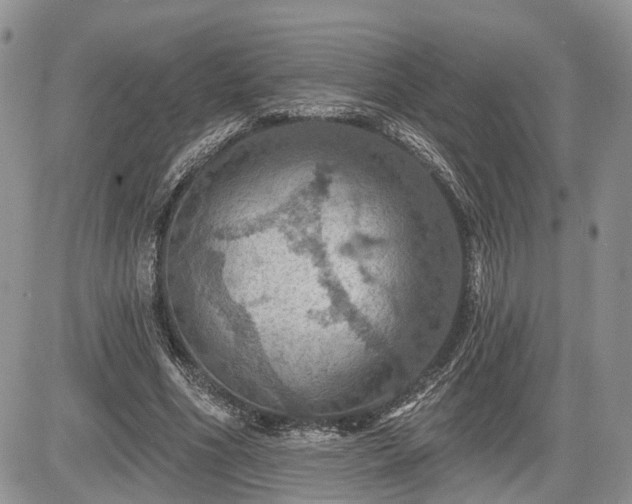 X0000085260586200703161406