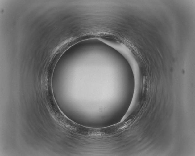 X0000085260587200703161406