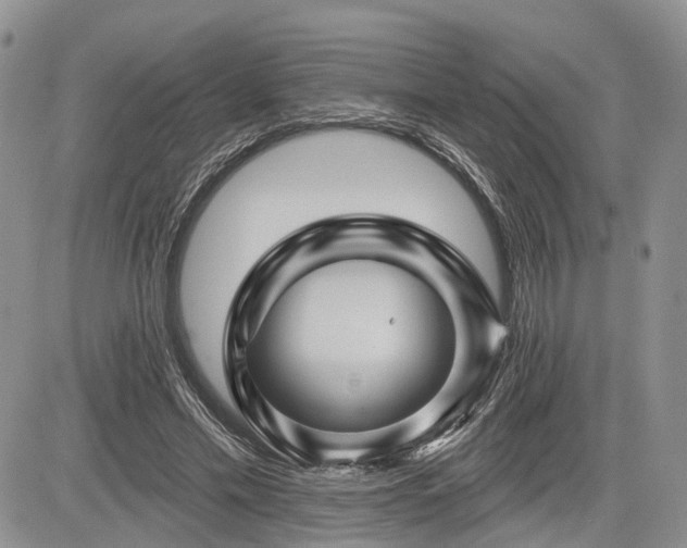 X0000085260589200703161406