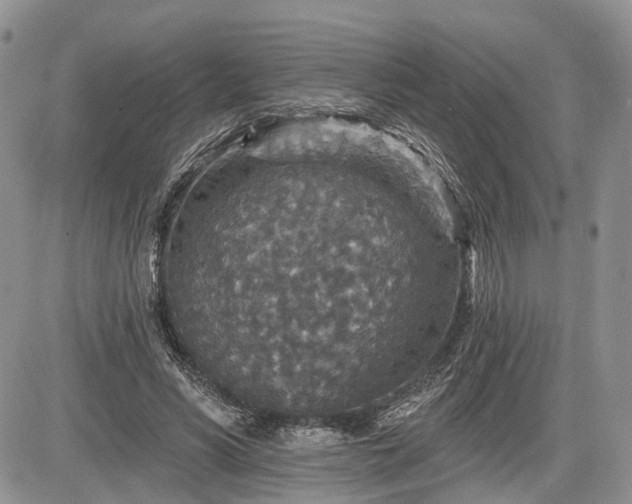 X0000085260590200703161406