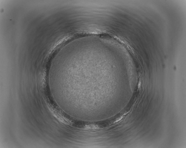 X0000085260591200703161406