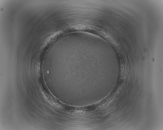 X0000085260592200703161406