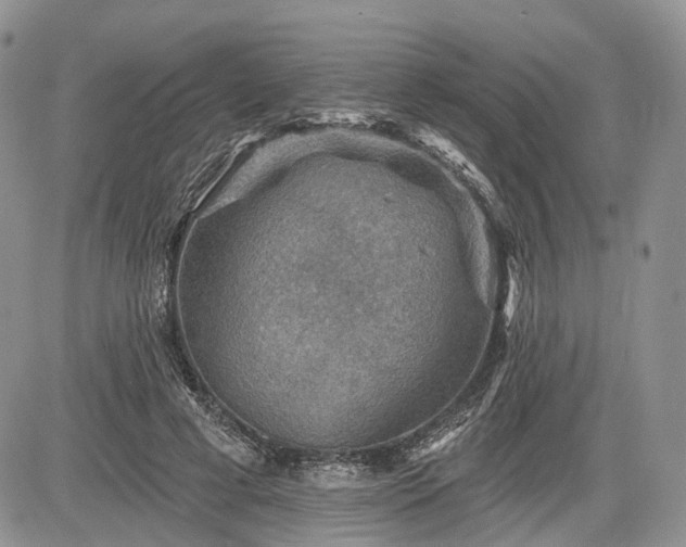 X0000085260593200703161406