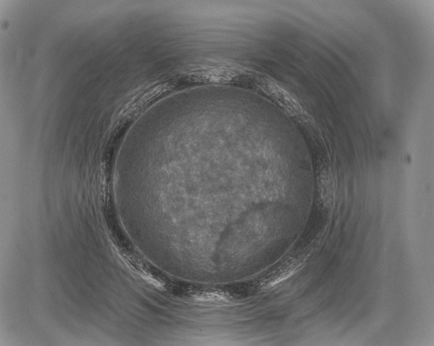 X0000085260594200703161406