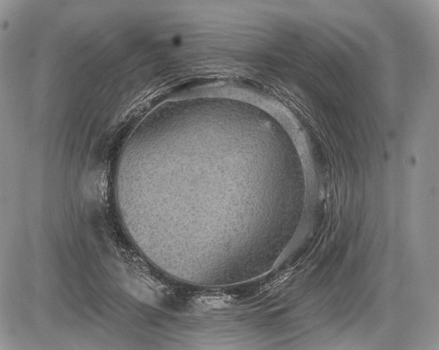 X0000085260595200703161406