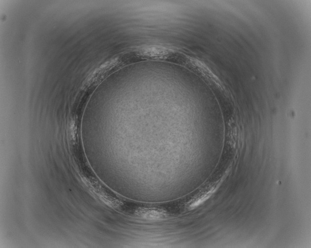 X0000085260597200703161406