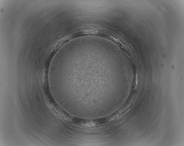 X0000085260600200703161406