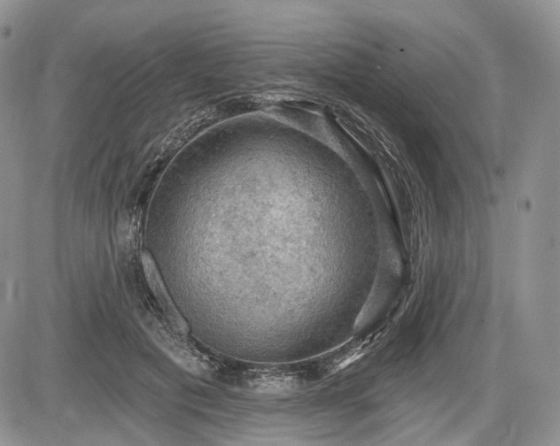 X0000085260601200703161406