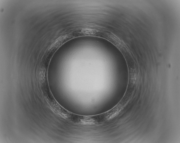 X0000085260603200703161406