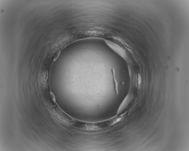 X0000085260605200703161406