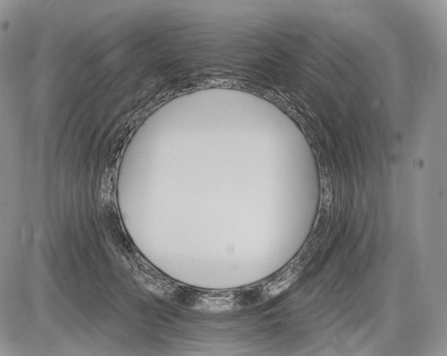 X0000085260606200703161406