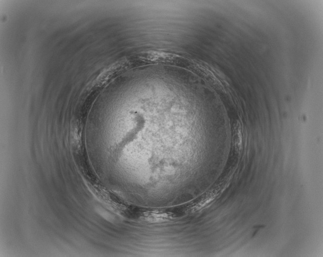 X0000085260607200703161406