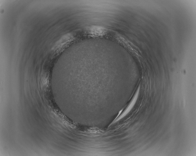 X0000085260608200703161406