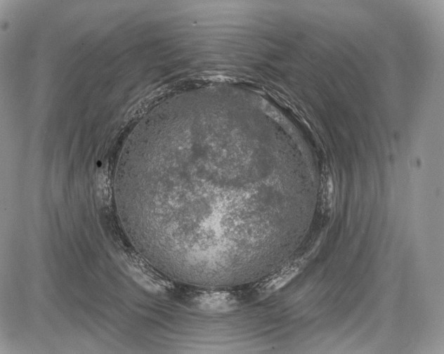 X0000085260609200703161406