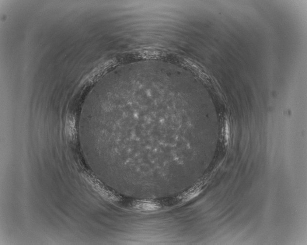 X0000085260610200703161406