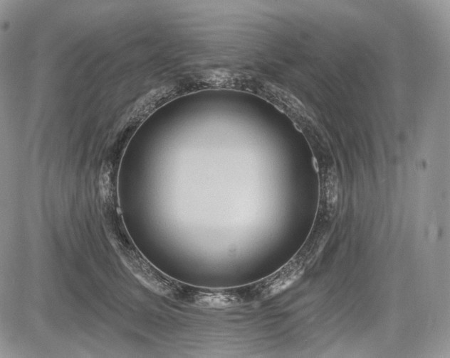 X0000085260611200703161406