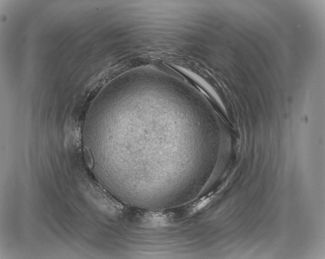 X0000085260613200703161406