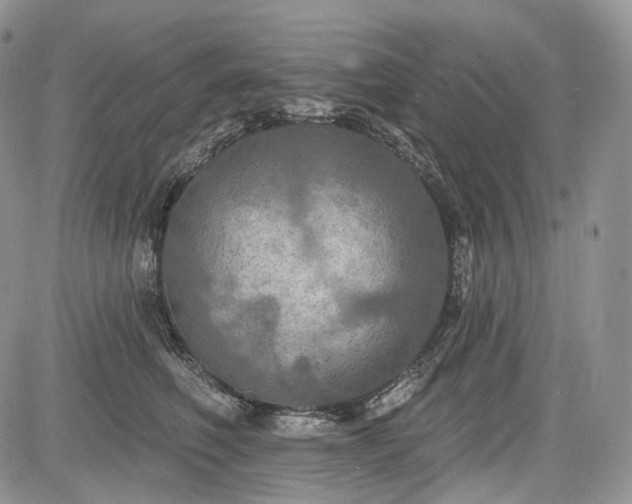 X0000085260614200703161406