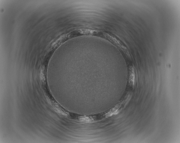 X0000085260616200703161406