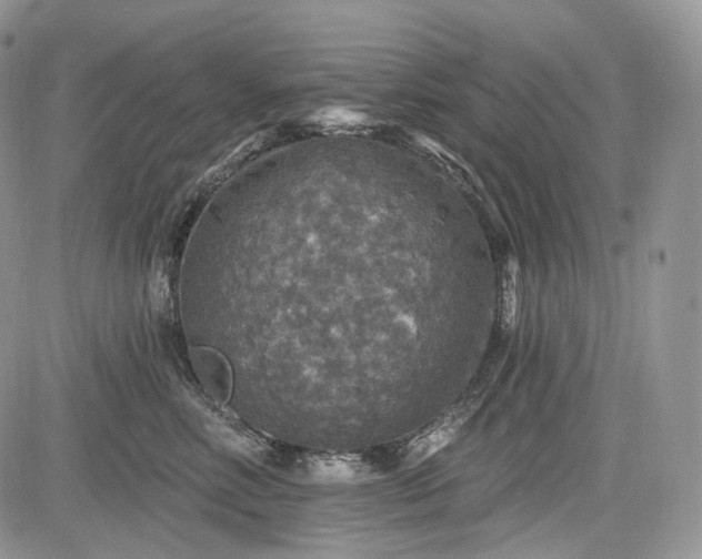 X0000085260618200703161406