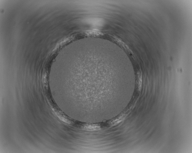 X0000085260619200703161406