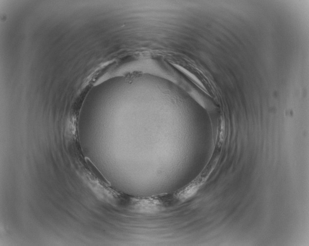 X0000085260621200703161405