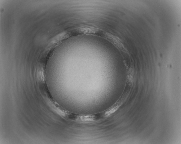 X0000085260622200703161405