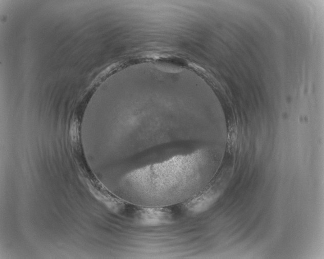 X0000085260623200703161405