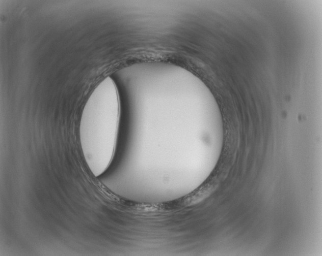 X0000085260624200703161405