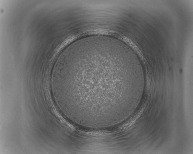 X0000085260625200703161405