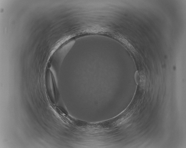 X0000085260626200703161405