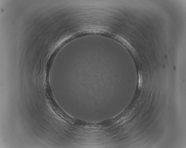 X0000085260627200703161405