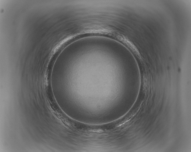 X0000085260628200703161405