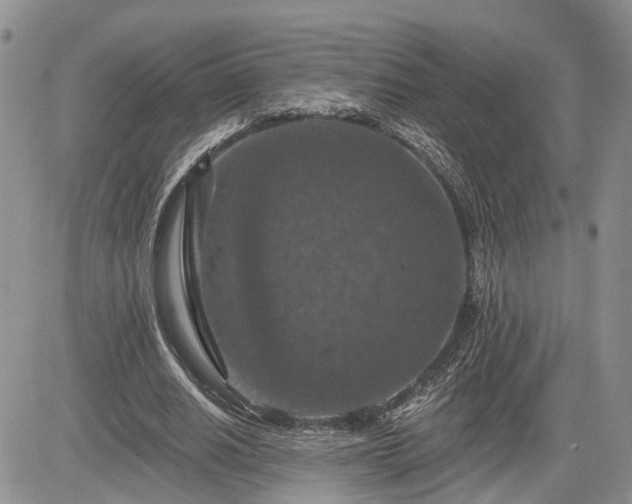 X0000085260630200703161405