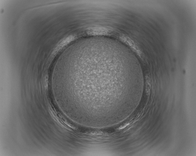 X0000085260631200703161405