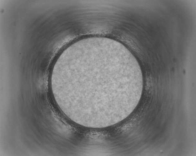 X0000085260632200703161405