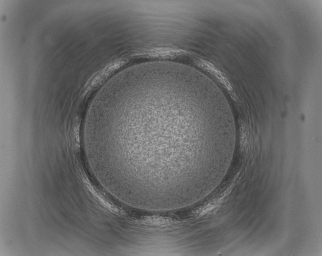 X0000085260633200703161405