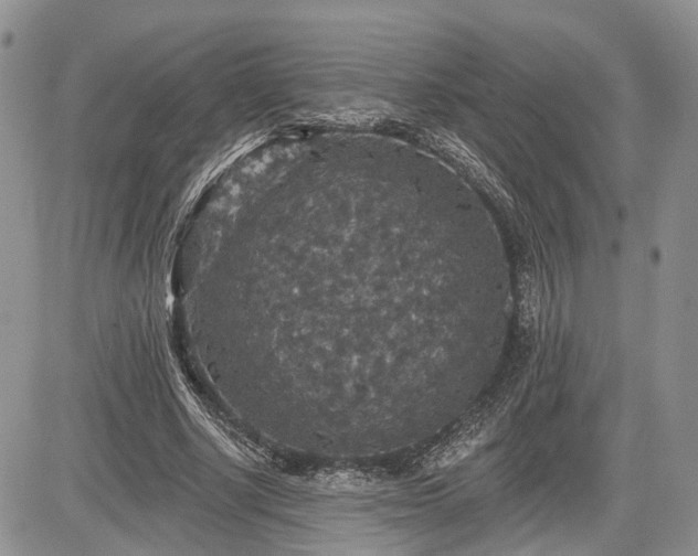 X0000085260634200703161405